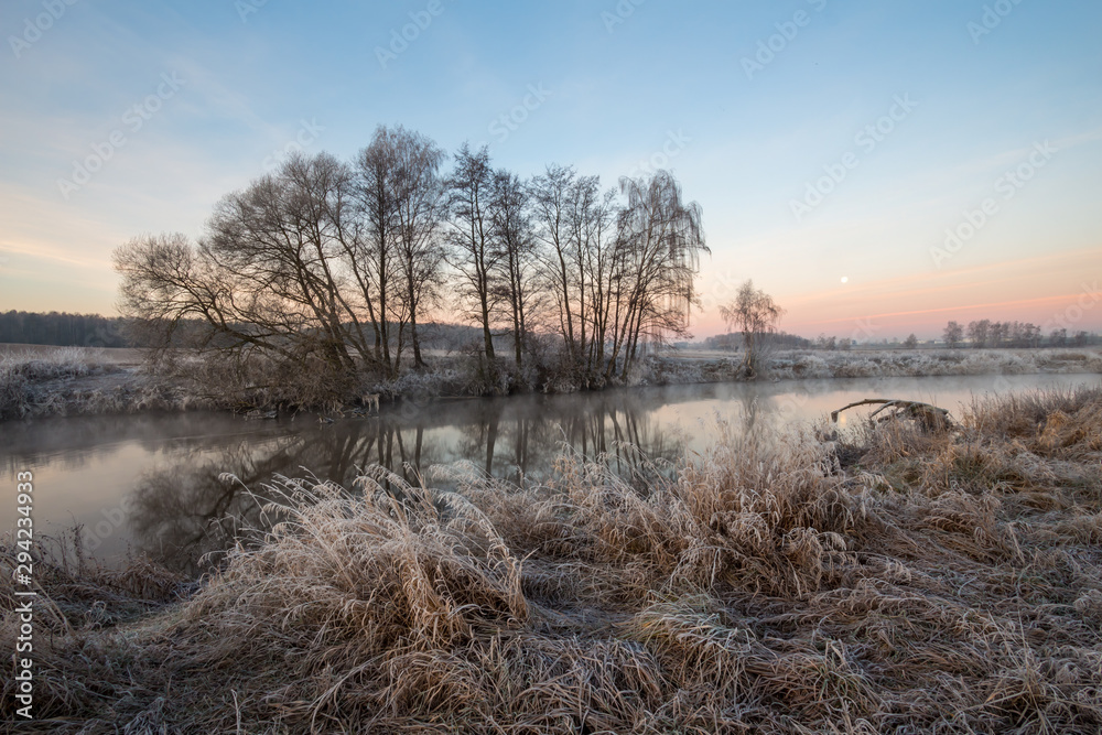 River bank with trees and grass in hoarfrost in the fall at dawn in the morning.