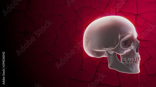 Glowing human skull on red background with cracks. Halloween decoration photo