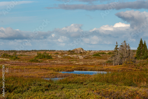 A marsh and barren land with a small pond in the center at autumn. There are trees  shrubs and large boulders and rocks scattered across the ground. The sky is blue with layers of thick clouds.