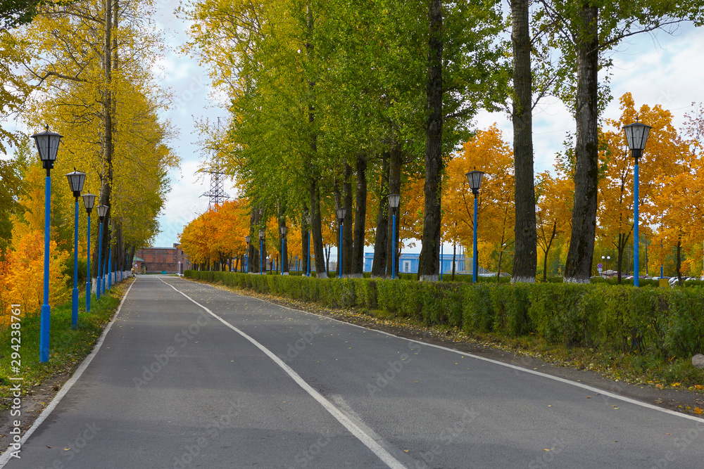 city road road with autumn trees on the sidelines and fallen leaves