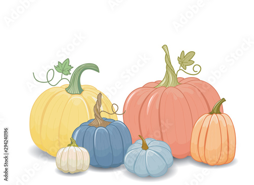 Set of pumpkins. Cartoon style. Isolated element.