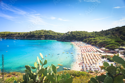 Fototapeta Naklejka Na Ścianę i Meble -  Fetovaia beach on Elba island
