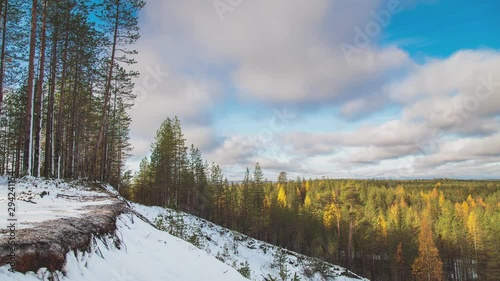 4K Timelapse clouds. Forest sunny autumn day
