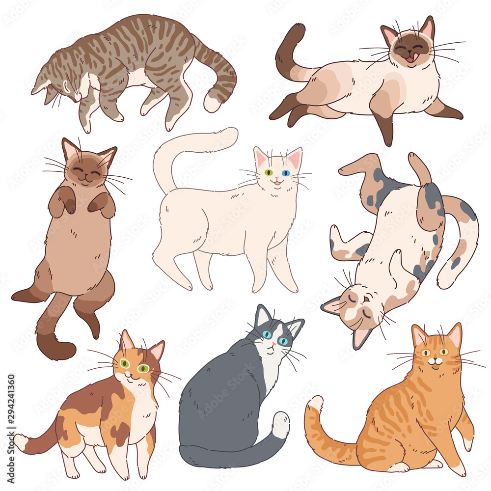 Playful cat vector Free Stock Vectors