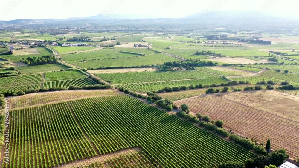 saline et vignes en vue aerienne