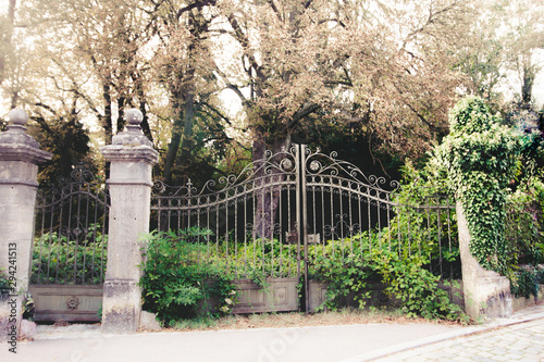 old silver metal gates overgrown with green vegetation