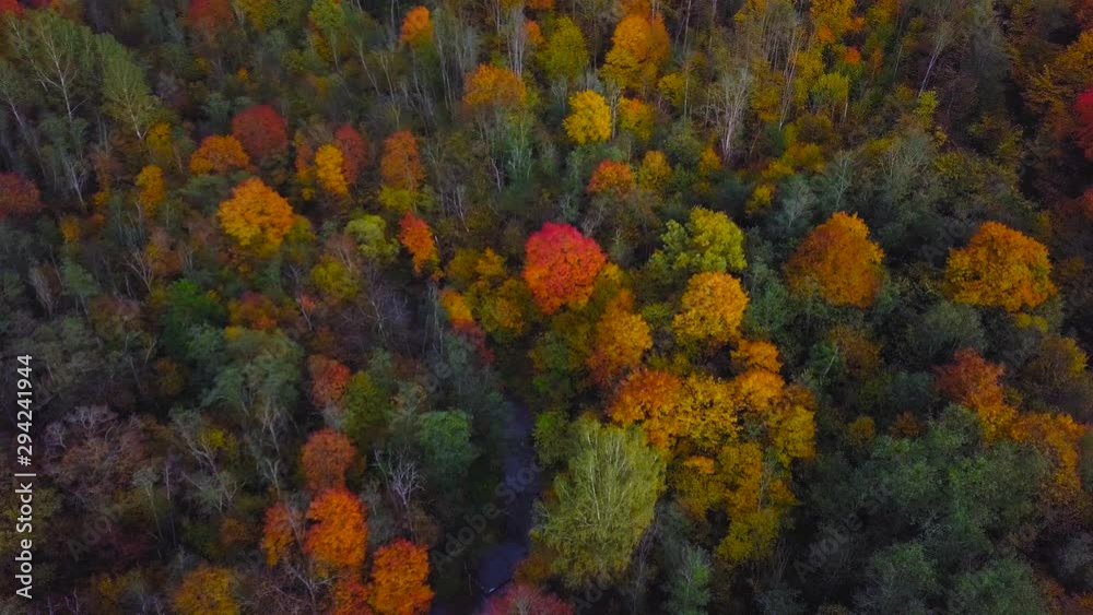 Aerial view of flight over beautiful colorful Autumn forests in Lithuania Aerial view of flight over beautiful colorful Autumn forests in Lithuania
