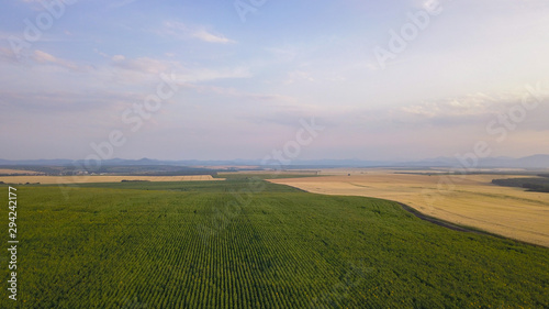 Aerial view of a Agricultural fields at afternoon lights in Europe. Drone shot