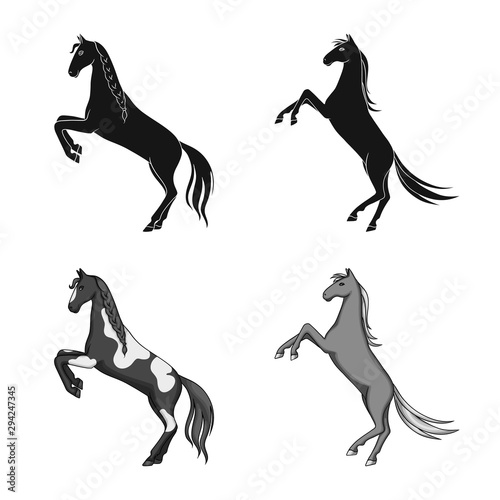 Vector illustration of breed and equestrian sign. Set of breed and mare stock vector illustration.