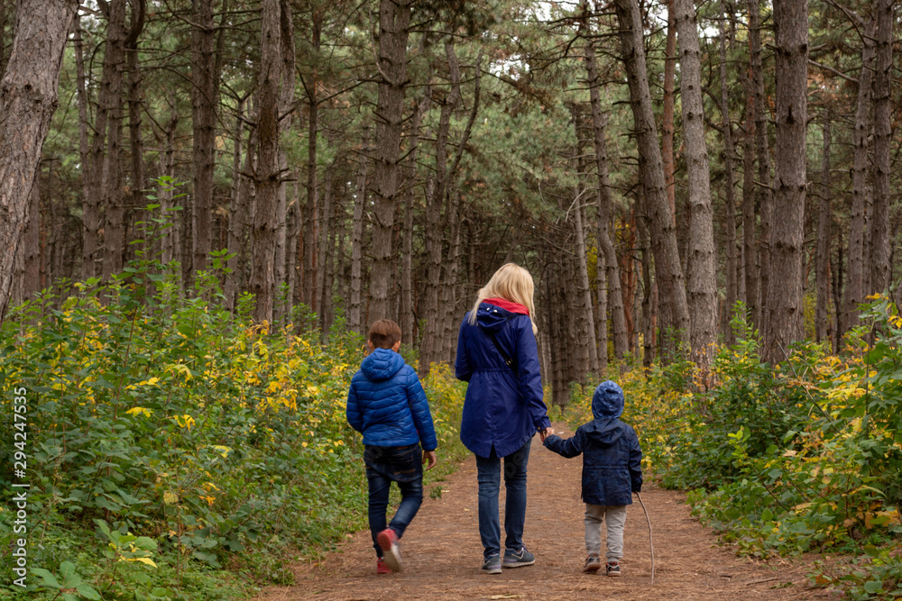 Family of young blonde mother and two boys walking in the autumn pine forest