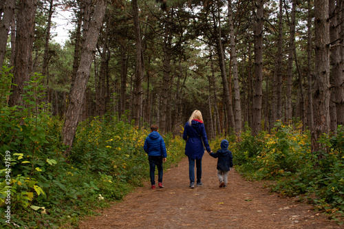 Family of young blonde mother and two boys walking in the autumn pine forest