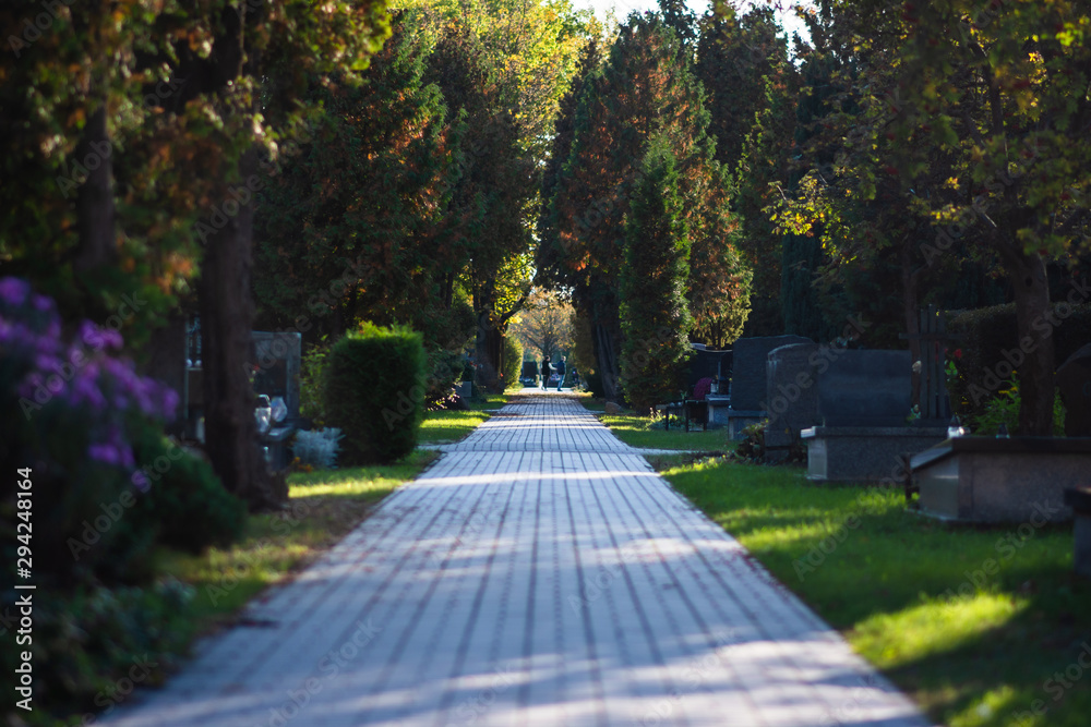 Obraz premium Autumn alley at the cemetery before the All Saints Day
