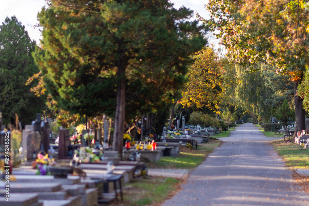 Autumn alley at the cemetery before the All Saints Day