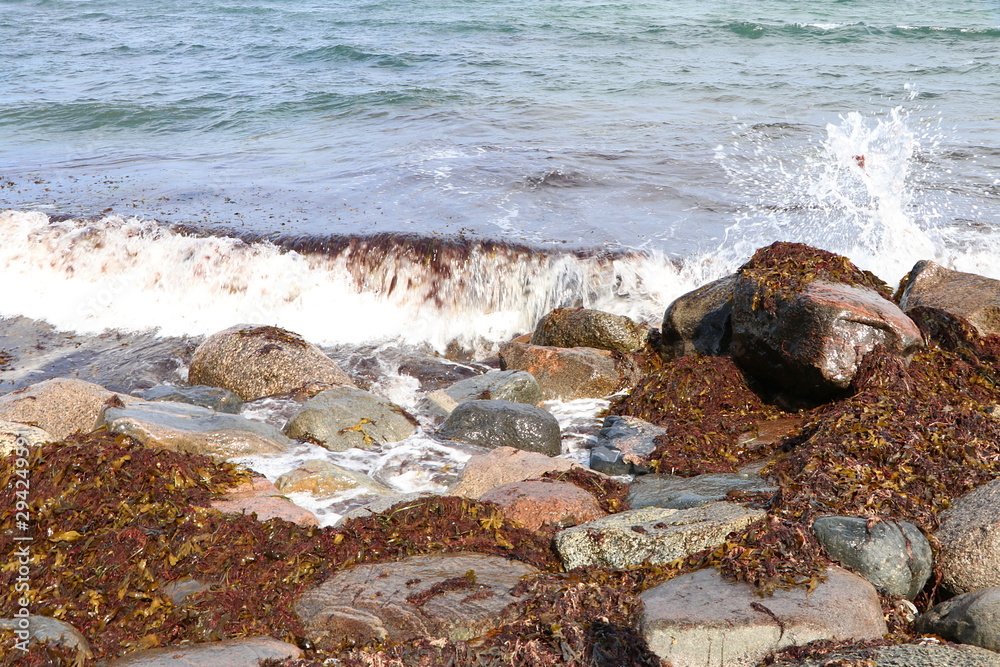 Small wave and water spray at the rocks on the beach, alga washed ashore