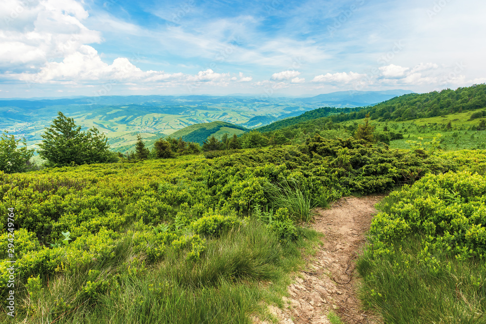 winding path through large meadows on the hillside of Carpathian mountain ridge
