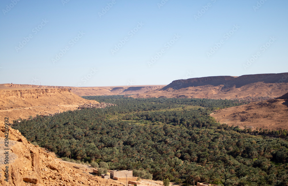 Bosque de Marruecos