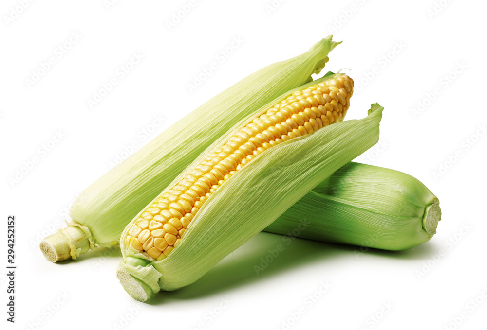 Corn cobs isolated on white background Corn cobs isolated on white background