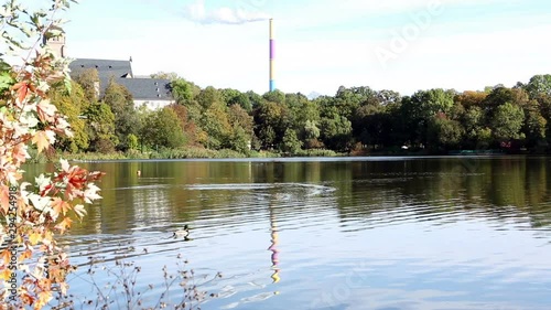 Ducks at the Castle Lake in Chemnitz during a clear morning