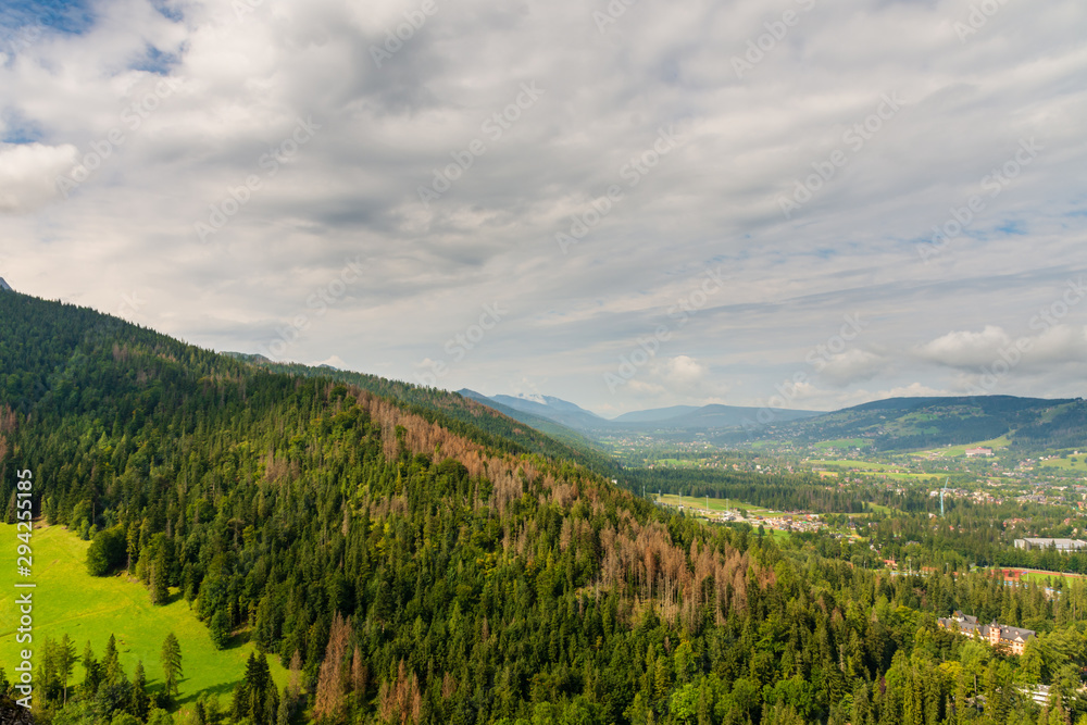 Polish Tatra mountains and forest.