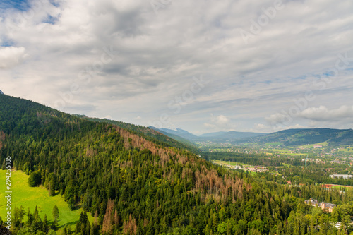 Polish Tatra mountains and forest.