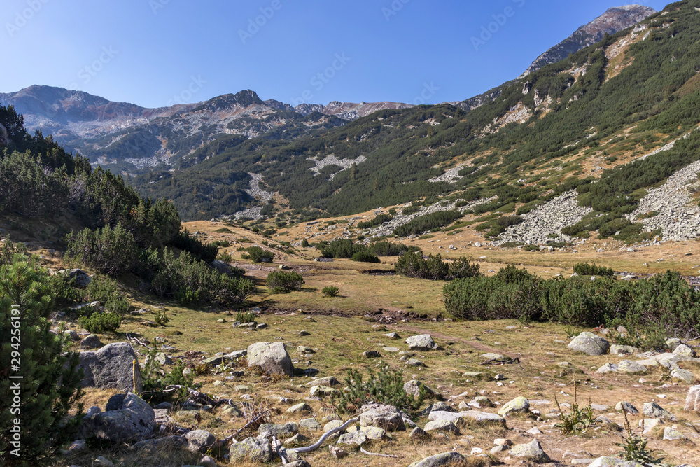 Naklejka premium Landscape of Banderitsa River Valley, Pirin Mountain, Bulgaria