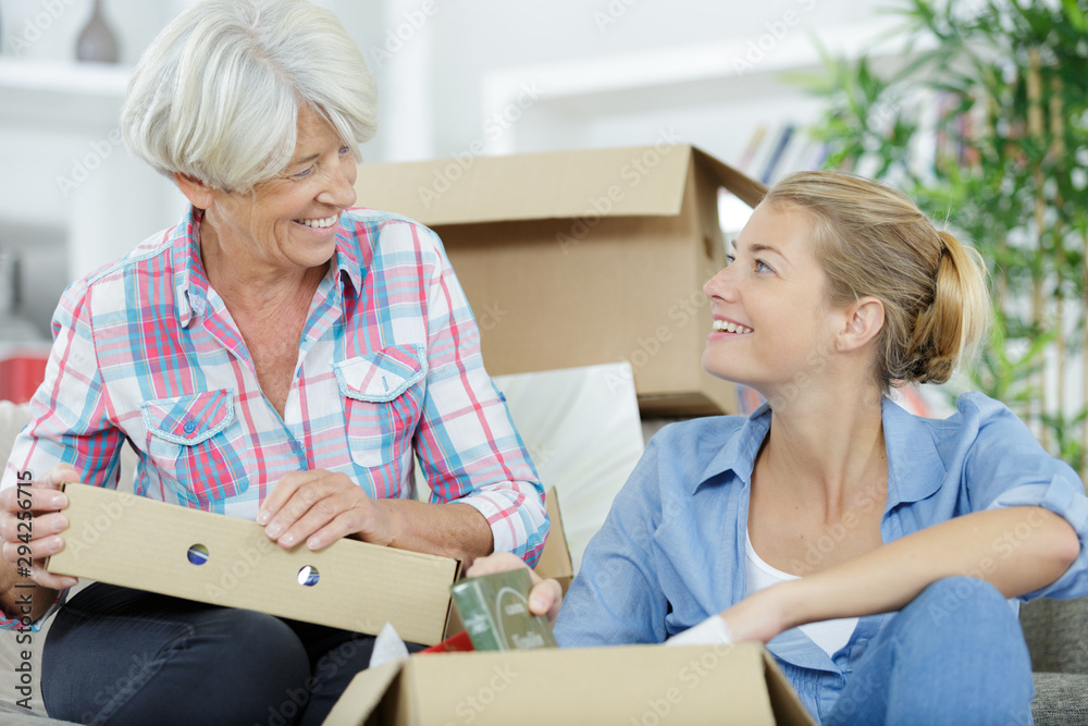 Obraz premium a mum and moving house