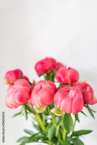 Lovely flowers in glass vase. Beautiful bouquet of peonies sort of coral charm. Floral composition  scene  daylight. Wallpaper. Vertical photo