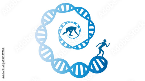 Evolution vector illustration. Human and chimpanzee genome identical