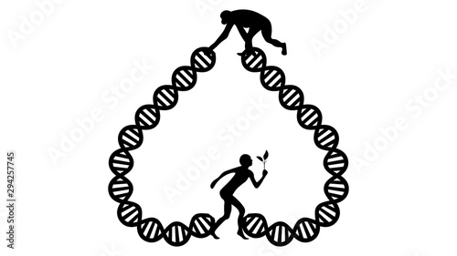 Evolution vector illustration. Human and chimpanzee genome identical