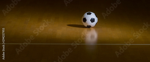 Indoor Soccer Futsal Ball. Team sport.