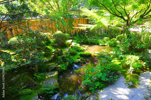 The japanese garden of Hosen-in Temple, Kyoto, Japan photo