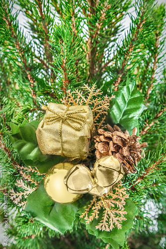 Closeup Christmas tree branch photo