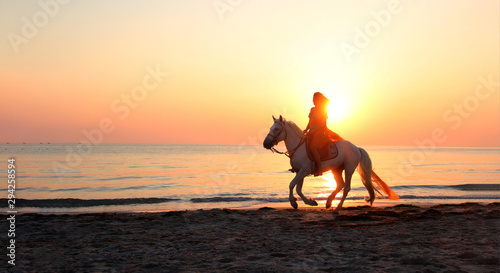 sexy woman on beach playing with white horse and enjoying the friendship