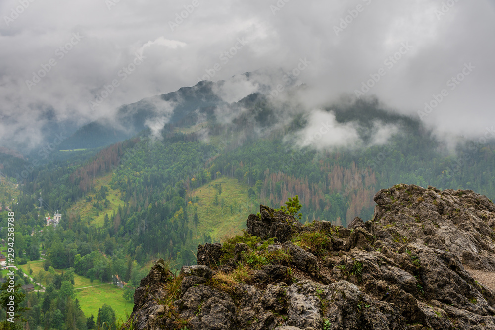 Rocks and Polish Tatras and the forest.