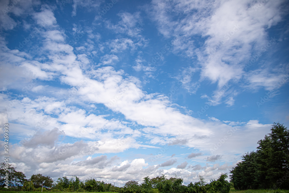 秋の雲