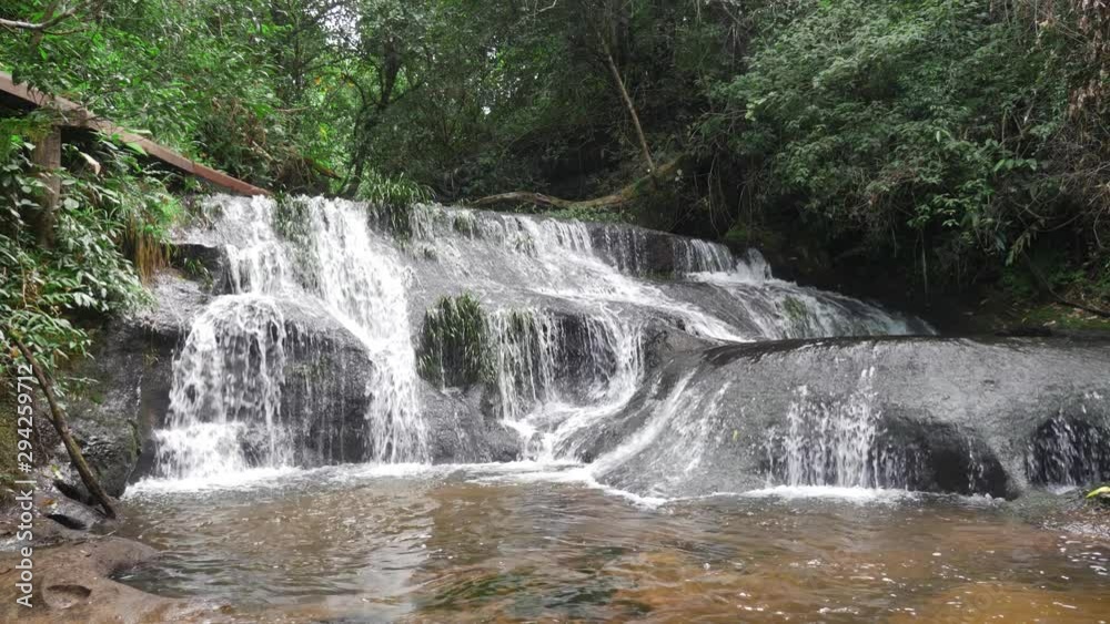 A waterfall in the forest. A waterfall in the forest.