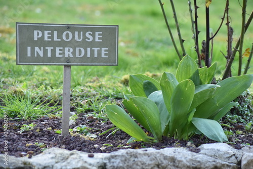 Pelouse interdite