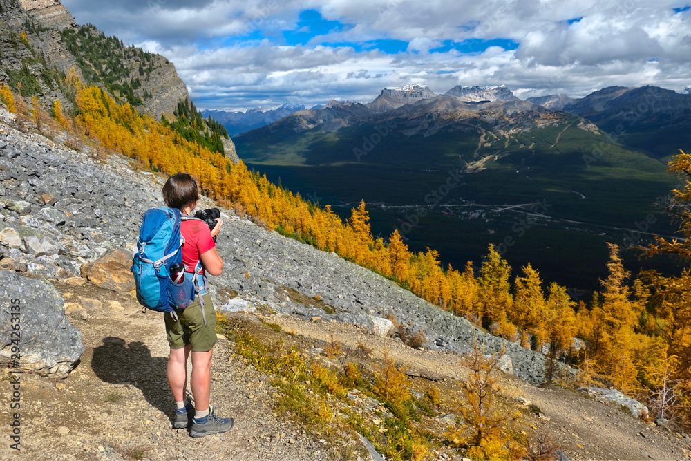 Woman on a mountain top looking at scenic view of mountains and yellow larch trees from above. Fairview mountain trail in Lake Louise area. Banff National Park. Alberta. Canada.