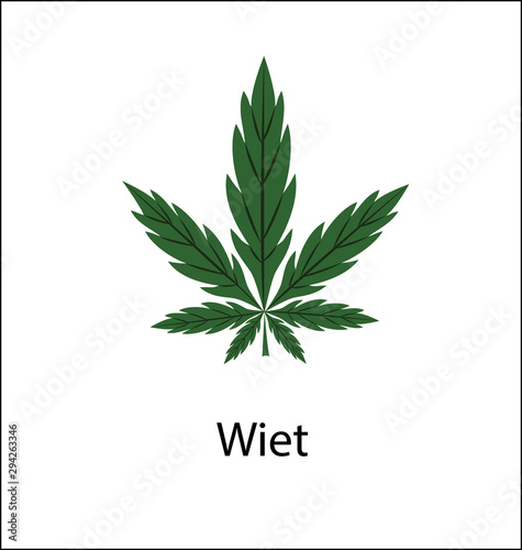 marijuana vector icon. marijuana icon for web and app. marijuana sign on white background