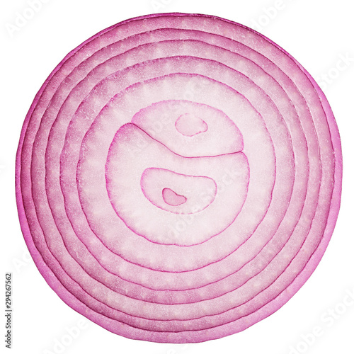 Vászonkép red onion isolated on white background, clipping path, full depth of field