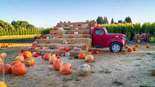 Fotografie Glorious Country Pumpkins Announce The Autumn Harvest