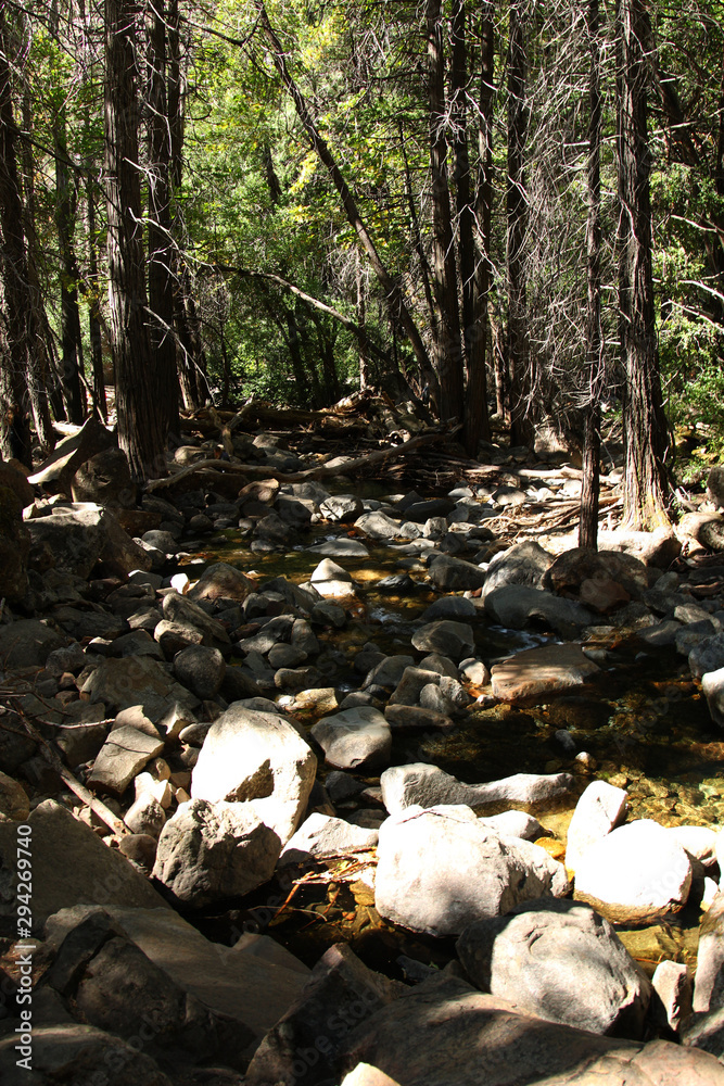 Vertical photo of a mountain stream running thru the forest and round granite stones Vertical photo of a mountain stream running thru the forest and round granite stones