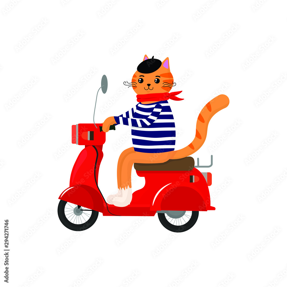 Vector graphics. Cute, funny illustration of a french cat with scooter. Funny character. Cat icon template. Vector graphics. Cute, funny illustration of a french cat with scooter. Funny character. Cat icon template.