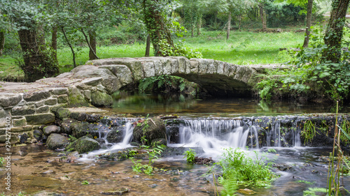Pequeño puente de piedra sobre un pequeño rio en un bosque de Galicia, España