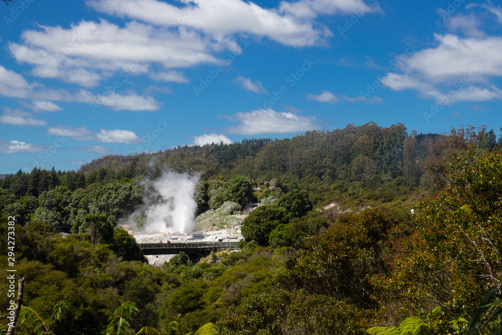 Fototapeta premium Geysir in Te Puia park in Rotorua, North Island
