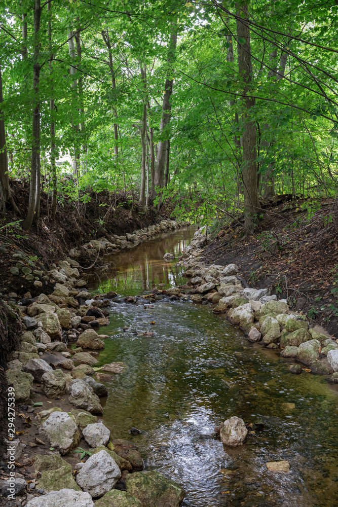Fototapeta premium stream in the forest