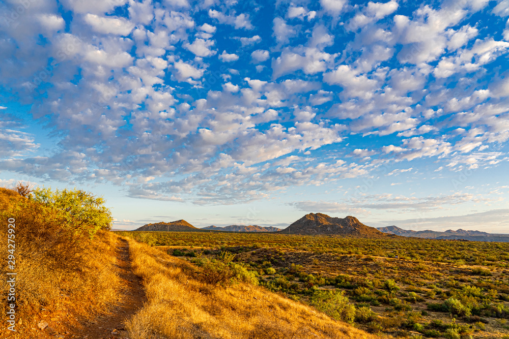 A view over the Arizona desert