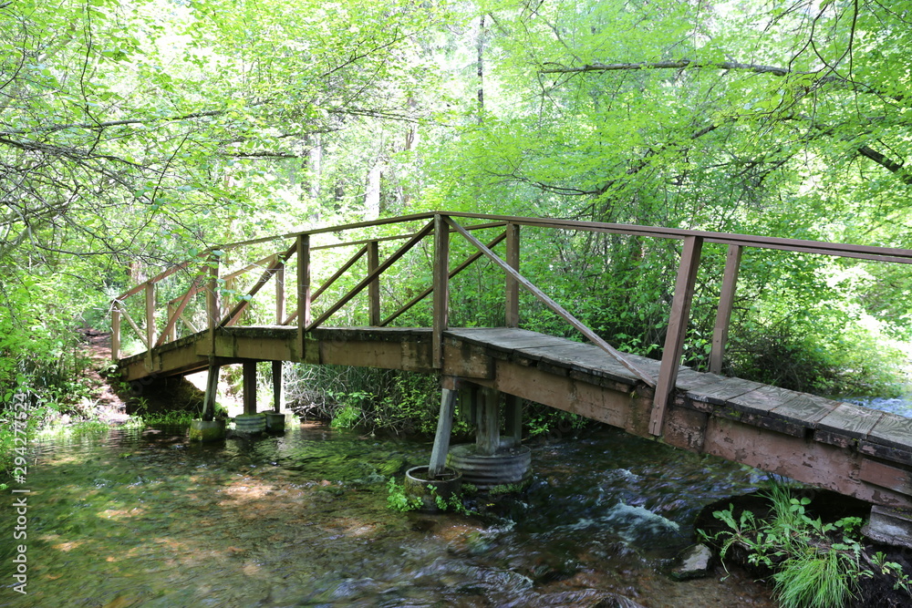 Fototapeta premium Foot bridge in the lush green forest