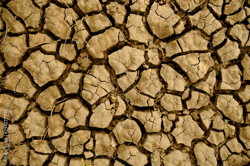 Global climate change example: cracked dry perched fluvial soil.