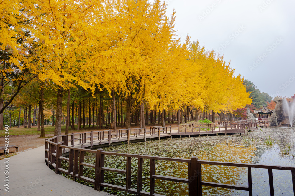 Nami Island in Autumn South Korea